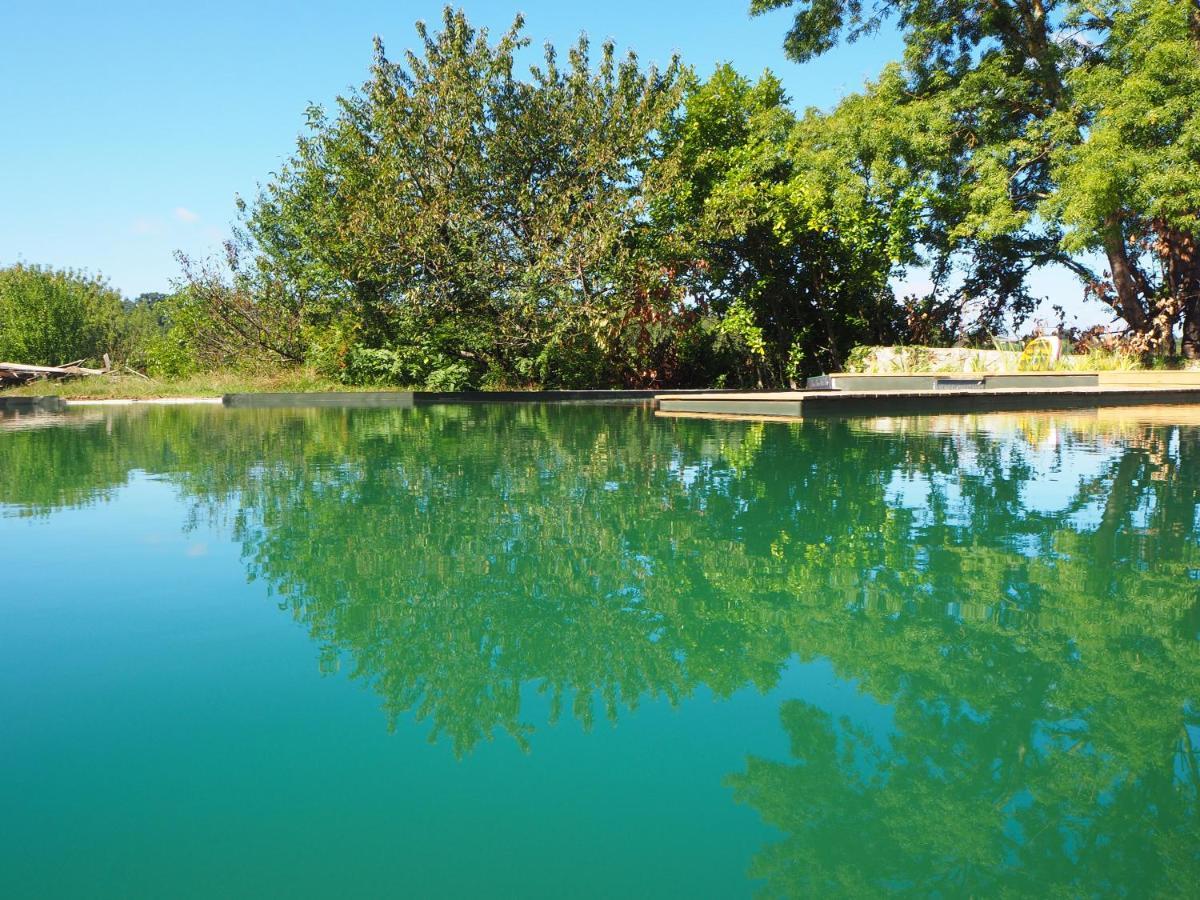 Maison Terre Les Cabanes De Fallot - Sauna Bain-Froid Piscine Naturelle L'isle-Bouzon Εξωτερικό φωτογραφία
